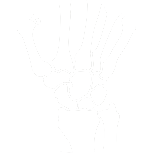 Wrist Condition & Treatments